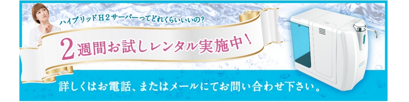 ���f���̍ō���u20000ppm �n�C�u���b�hH2�T�[�o�[WP-400�v���T�C�g